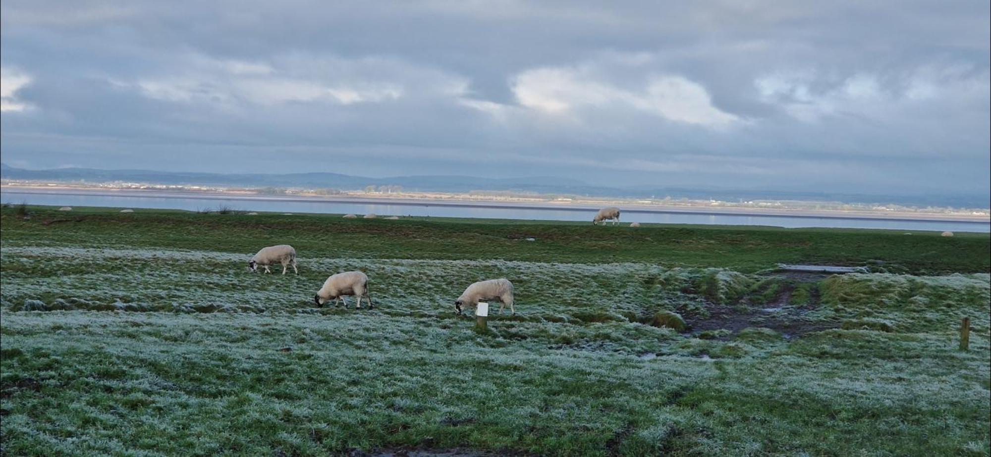 Port Carlisle Caravan Near Bowness On Solway Hotel Ngoại thất bức ảnh